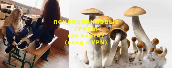 дмт Алексеевка