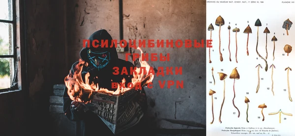 дмт Алексеевка
