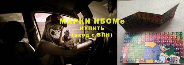 хмурый Алзамай