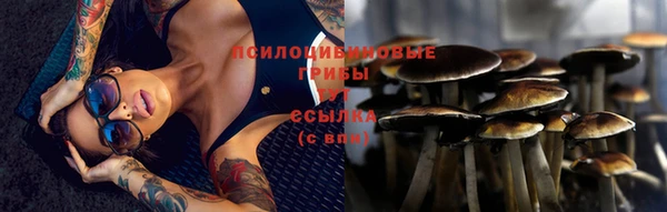 хмурый Алзамай