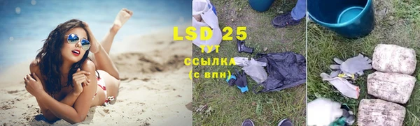 хмурый Алзамай